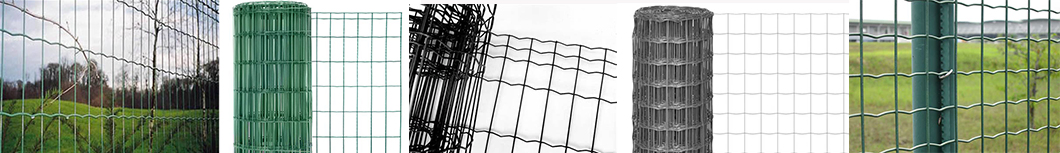 PVC Coated Welded Wire Fence Euro Fence