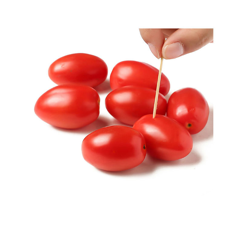 100% Natural High Quality Factory Direct Toothpick Dispenser