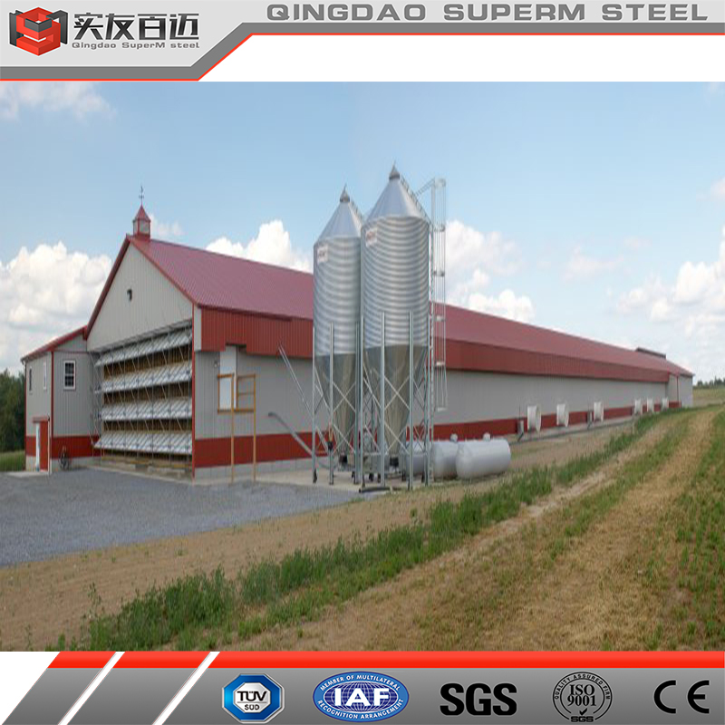 Hot Sale Prefabricated Steel Structure Poultry House for Chicken Broiler Shed