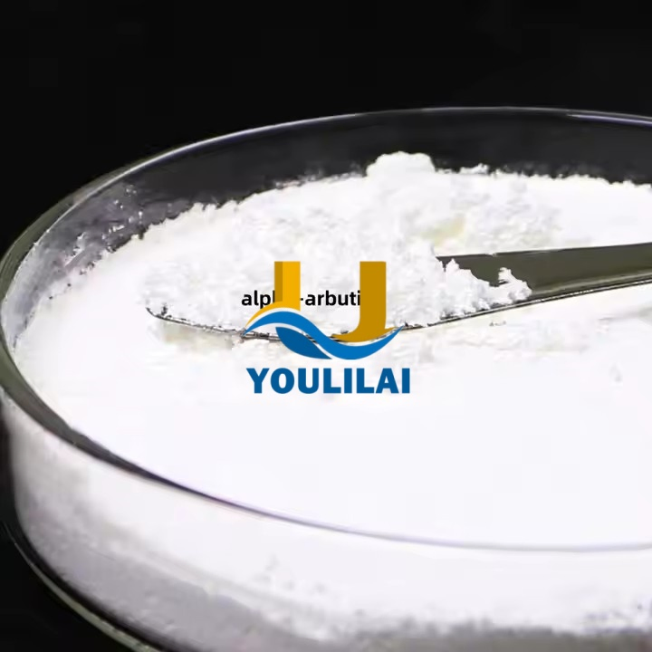 Skin Whitening Alpha-Arbutin Extract Powder 100% Pure Cosmetic Grade CAS 84380-01-8