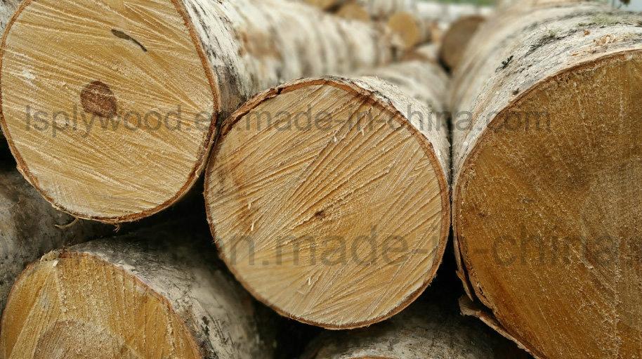 Furniture Grade Melamine Board Made of Birch, Poplar and Basswood