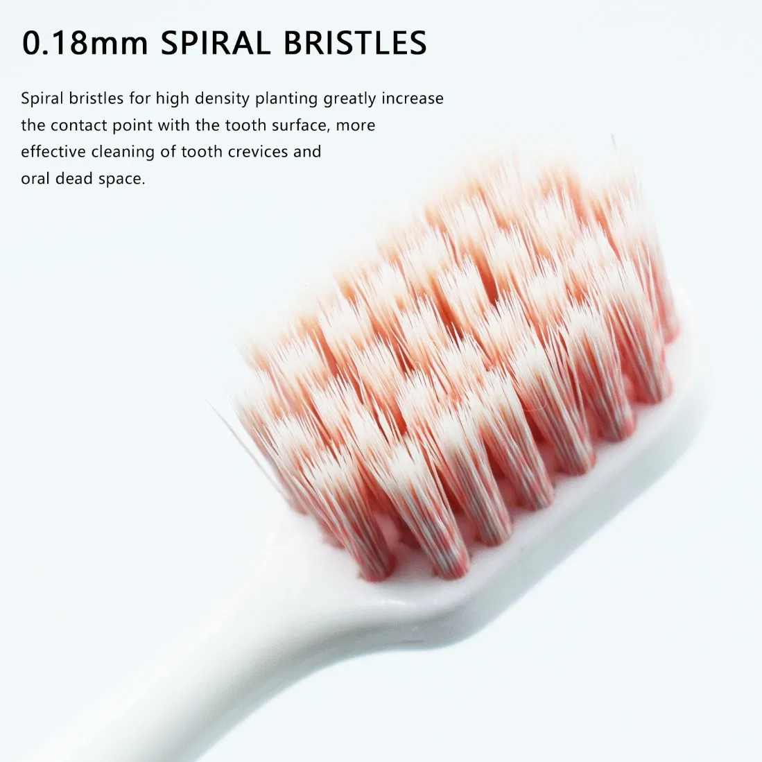 OEM Hotel Travel Plastic Box Adult Reusable Toothbrush Toothpaste Dental Kit