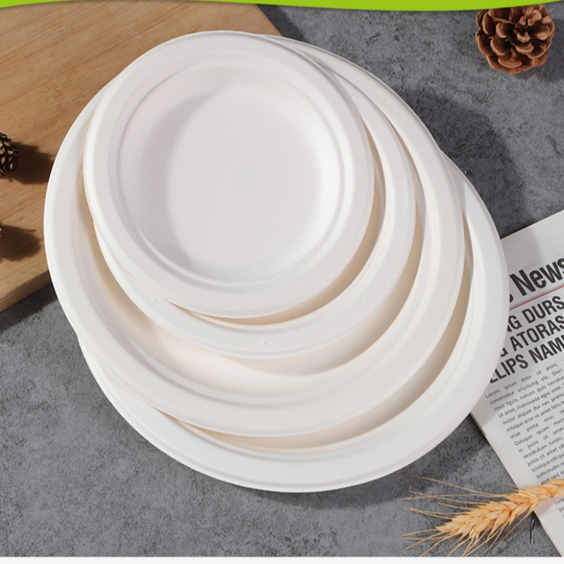 High Quality Disposable Sugarcane Bagasse Tableware with Lid Clamshell Food Container