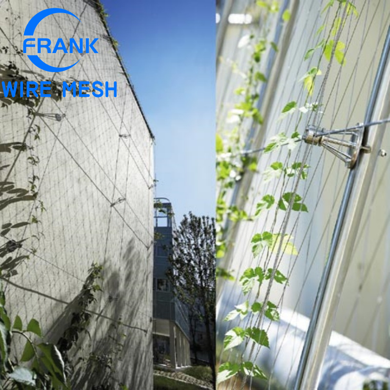 Anping Factory Durable Flexible Architectural Decorative 80mm*80mm Aperture 304 316 Stainless Steel Cable Wire Rope Net for Garden Plant Climbing Support Mesh