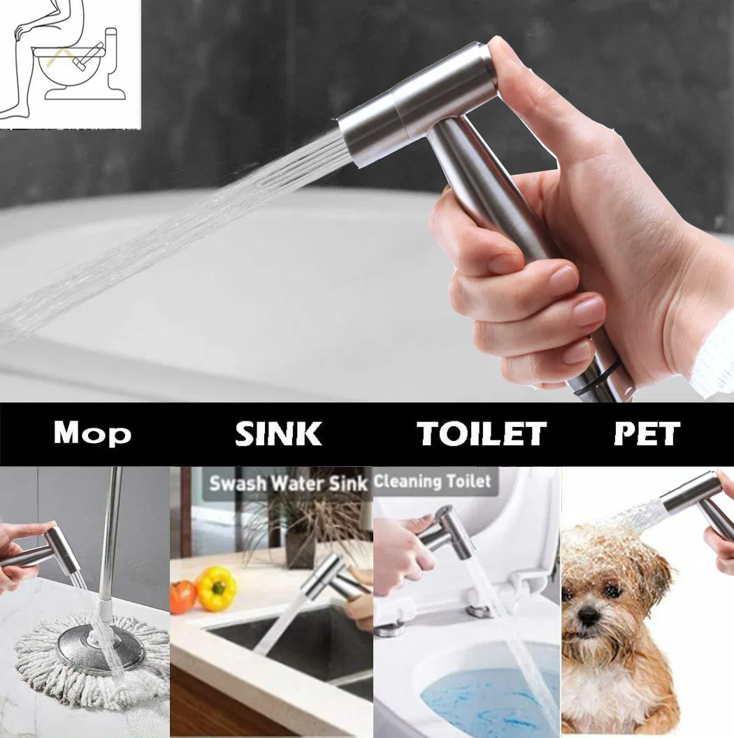 Brushed Nickel Handheld Sprayer Toilet Bidet Shattaf Set with T-Valve for Woman