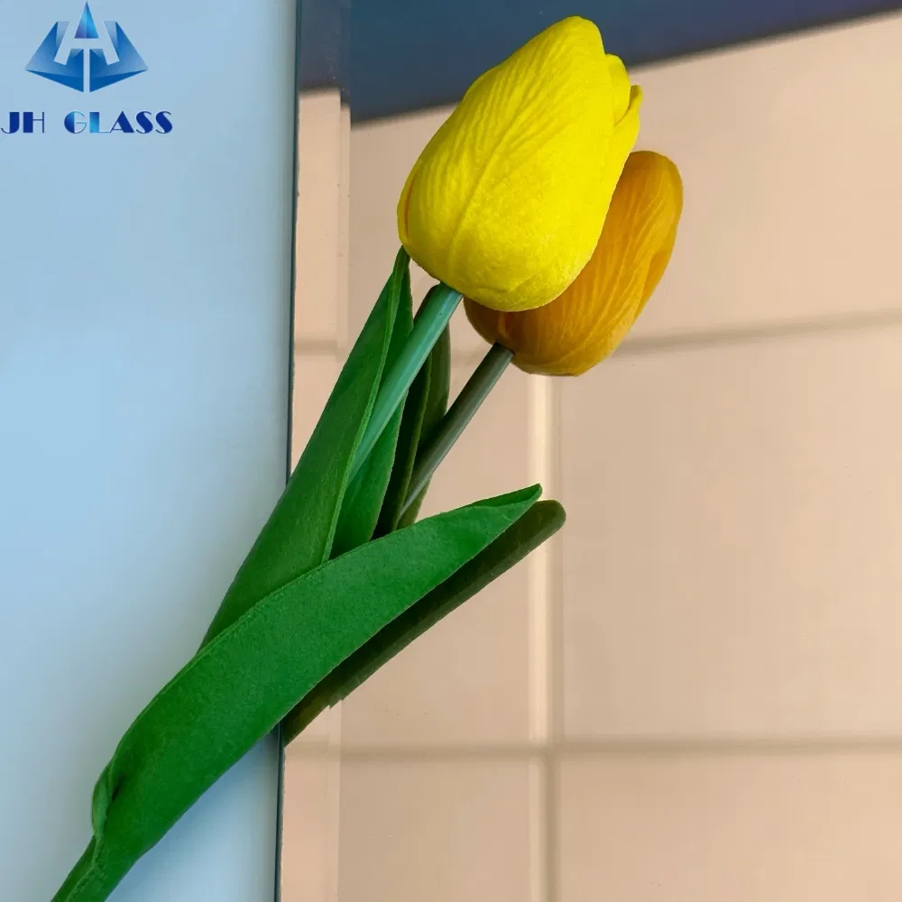 Hot Sale Compliant Tempered Glass Decorative Mirror for Clothing Hat Storage Room