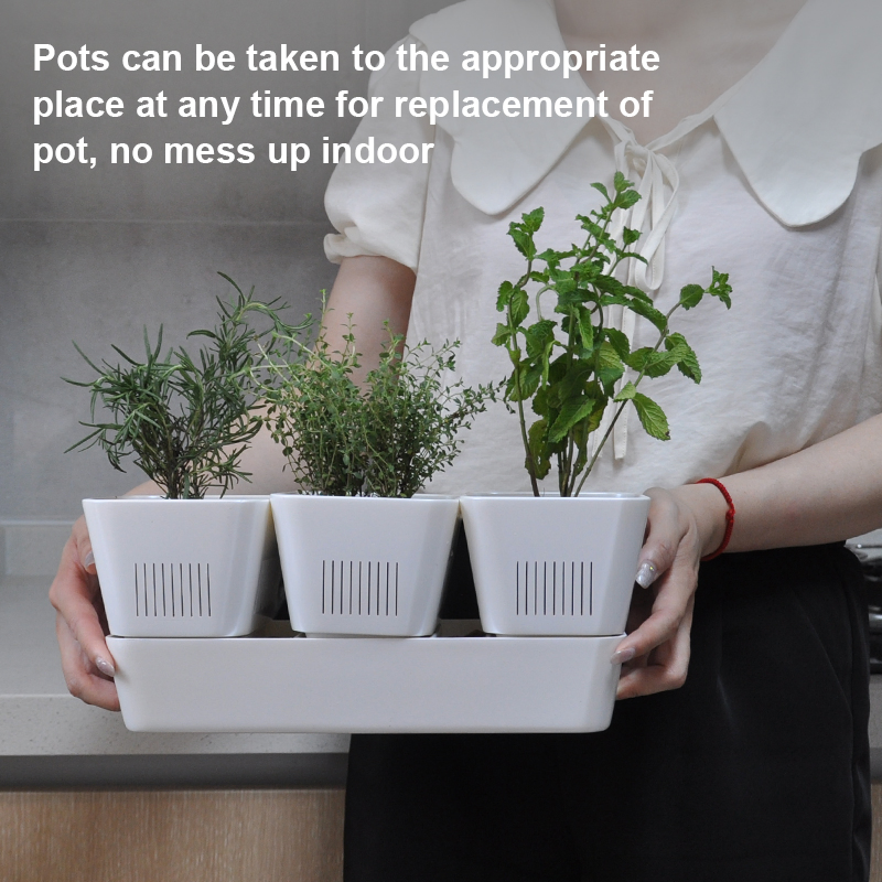 Self Watering ABS Flower Pot Self-Absorbing for Kitchen Home Planting