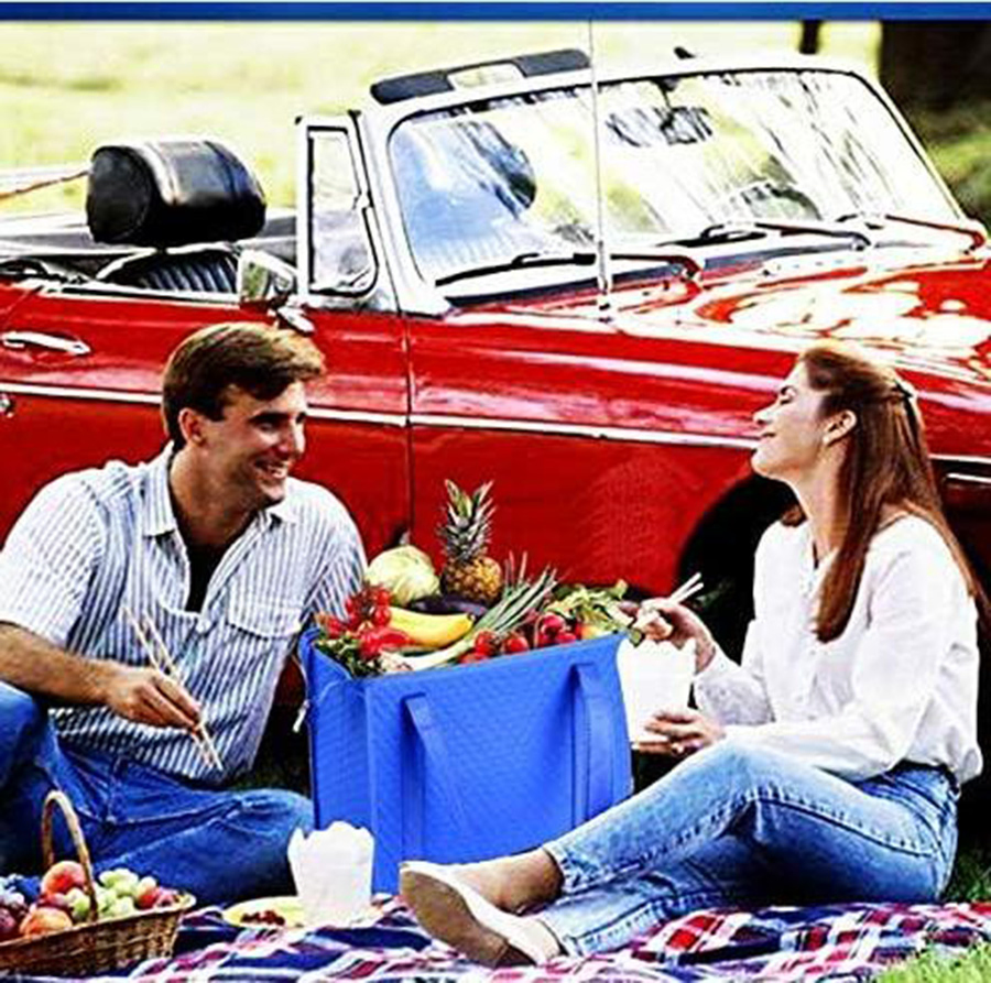 Refrigerator Grocery Cooler Insulated Bags with Zipper