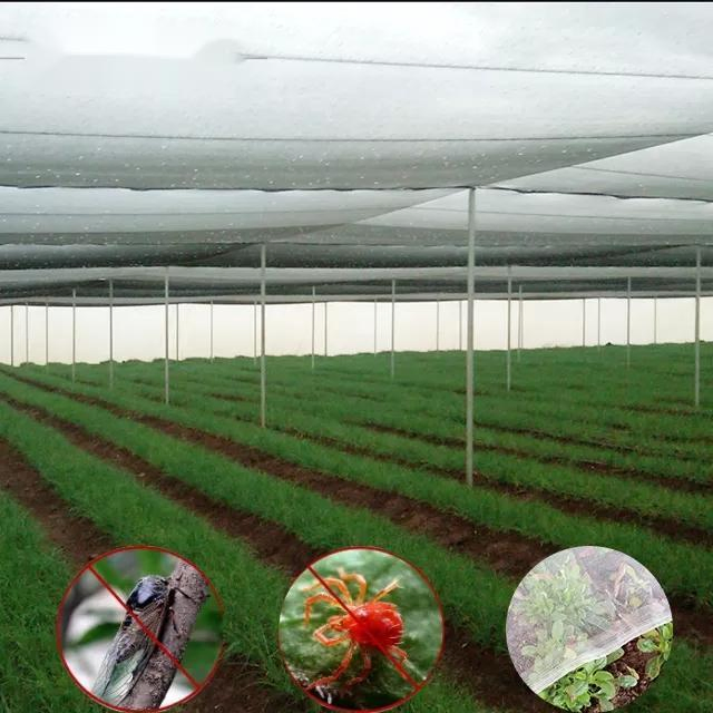 Manufacture Customized Sun-Shade Plastic Shade Net Nets with ISO