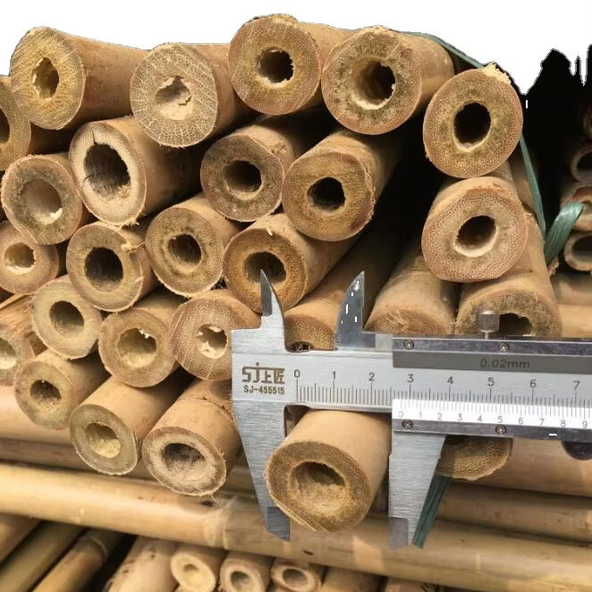 Natural Bamboo Poles for Plant Support Bamboo Canes Bamboo Poles Nursery Garden