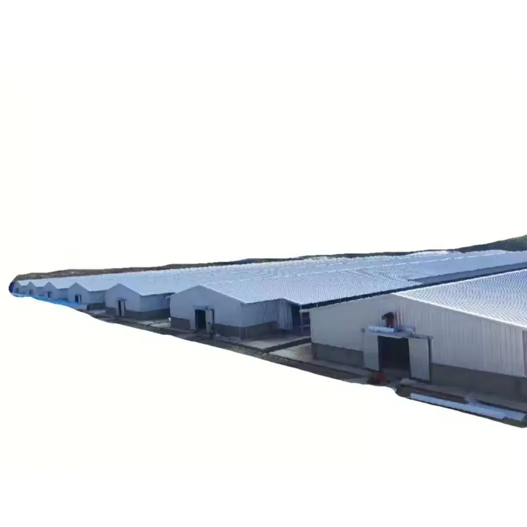 Steel Structure Pig Shed for Customized (PCH-13)