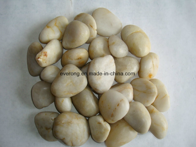Size 2-3cm /3-5cm /5-8cm Natural White River Pebble Stone for Landscaping