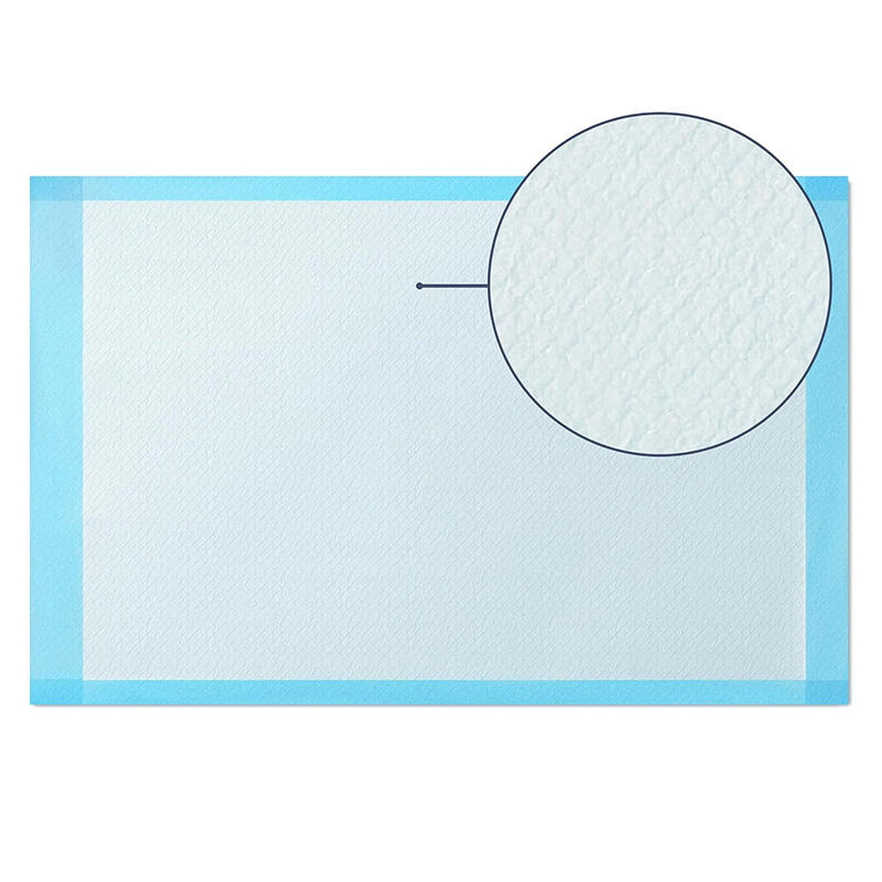 Scented Training Pad for Puppy Pads Waterproof Dog Cat