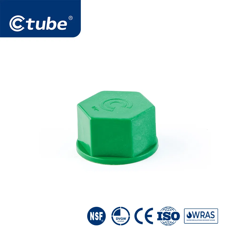 Ctube PPR Female Threaded Cap Chemical Resistant Pipe Fitting Solution