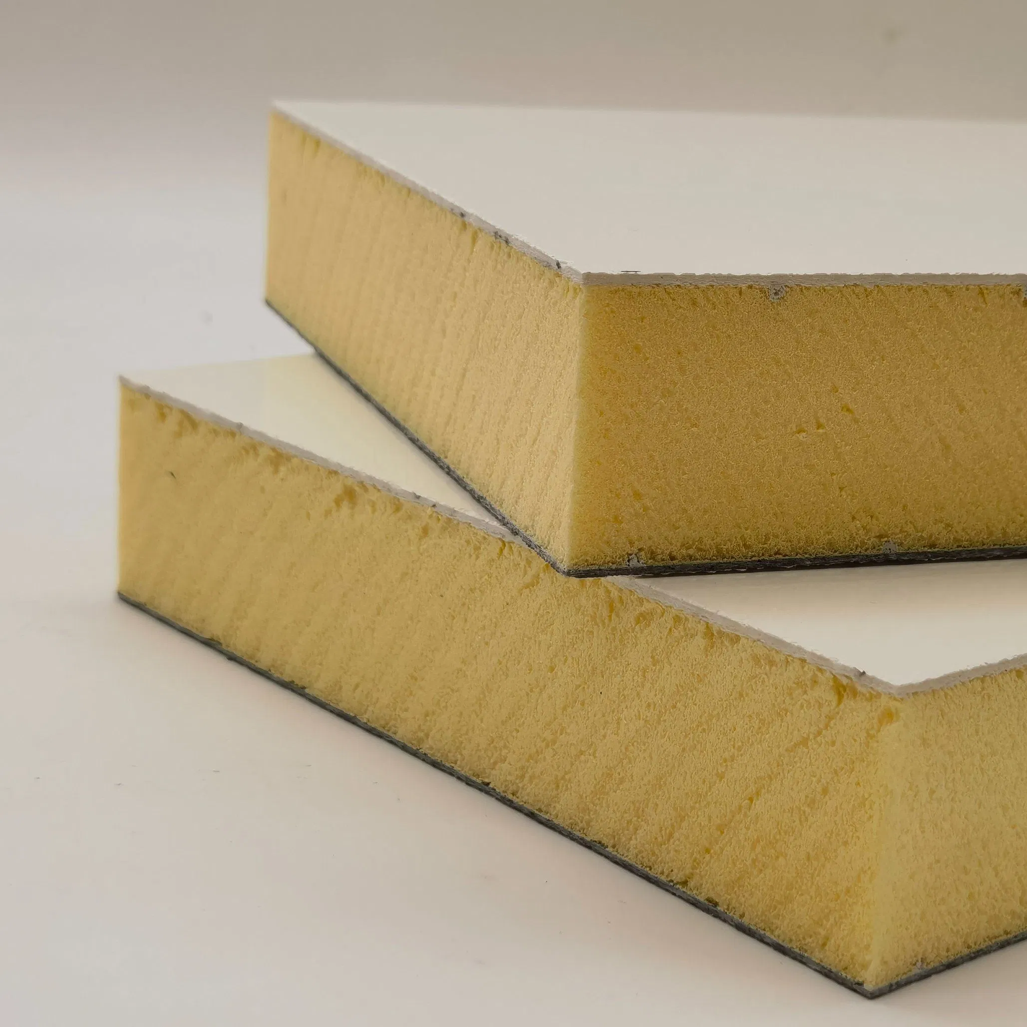 Thermal Insulation Foam Board FRP XPS Foam Core Panel for Cold Storage