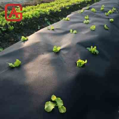 Heavy Duty Lined Weed Control Fabric Landscaping Ground Cover Garden Weed Barrier Gardening Mat