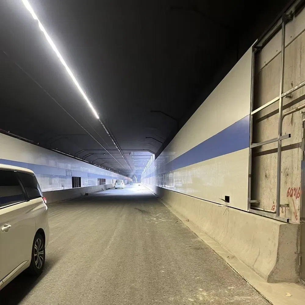 Freeze-Thaw Resistant Decorative Fireproof Water Resistant Tunnel Wall Panel for Tunnels