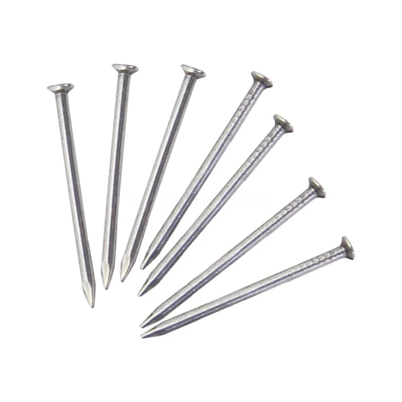 Carton Packaging Customizable 19mm-300mm Tianjin China Common Nails Iron Galvanized Nail Hot