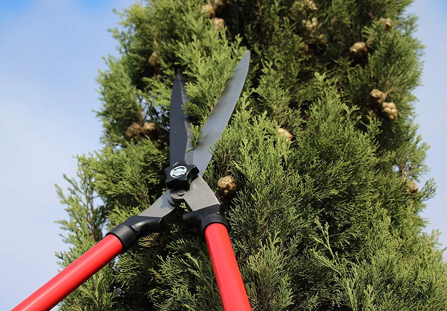 Extendable Manual Hedge Trimmers with Corrugated Blade Wyz12068