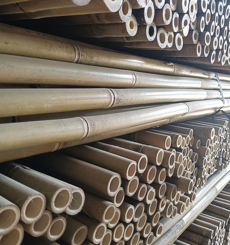 Bamboo Poles for Natural Scaffolding in Gardens/Bamboo Culms