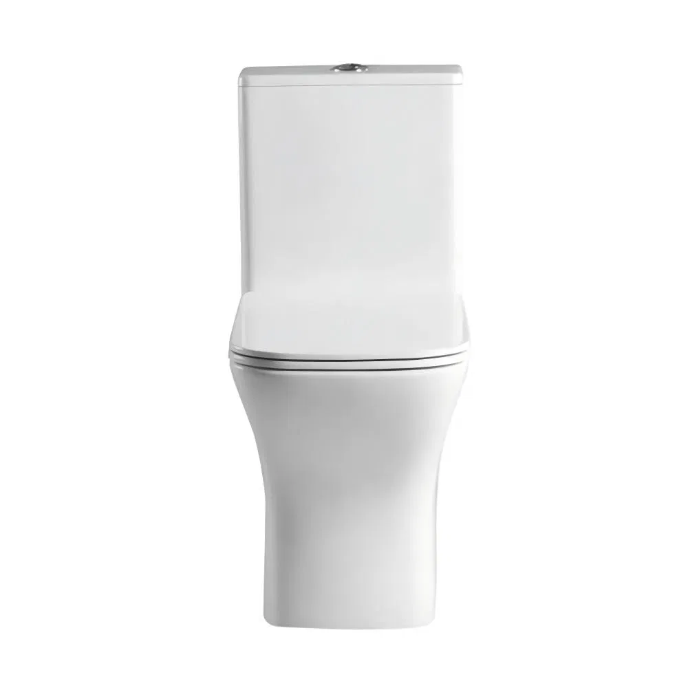 Sanitary Ware Bathroom Washdown Flushing Sqaure Shape Rimless One Piece Toilet