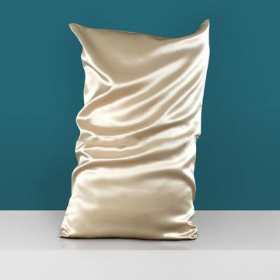 22 mm Slip Version Bright Fabric Double-Sided Silk Pillowcase