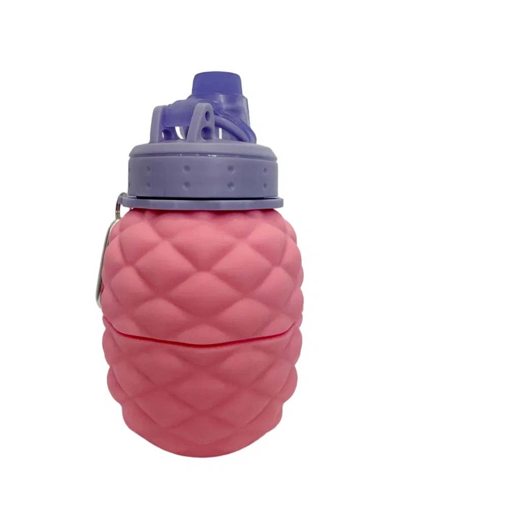 Foldable Collapsible Soft Sports Silicone Water Bottle for Running