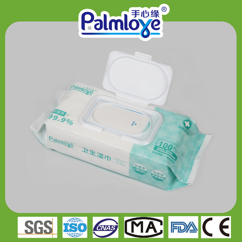 Hygiene Wet Wipes Factory