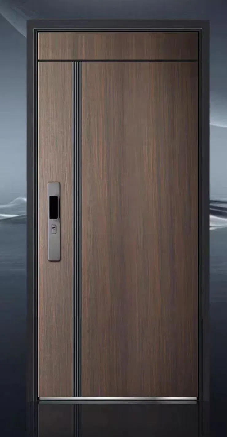 New Designs Luxury Modern Iron Security Steel Iron Single out Door for House Projecr Apartment