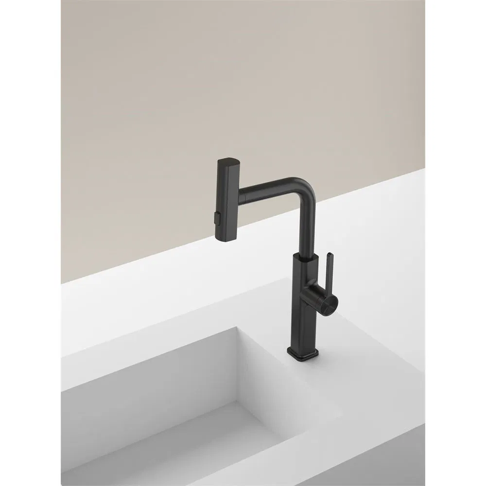 Black Kitchen Faucet Solid Brass Water Tap Modern kitchen Taps Pull out Sprayer Kitchen Mixer Sink Taps
