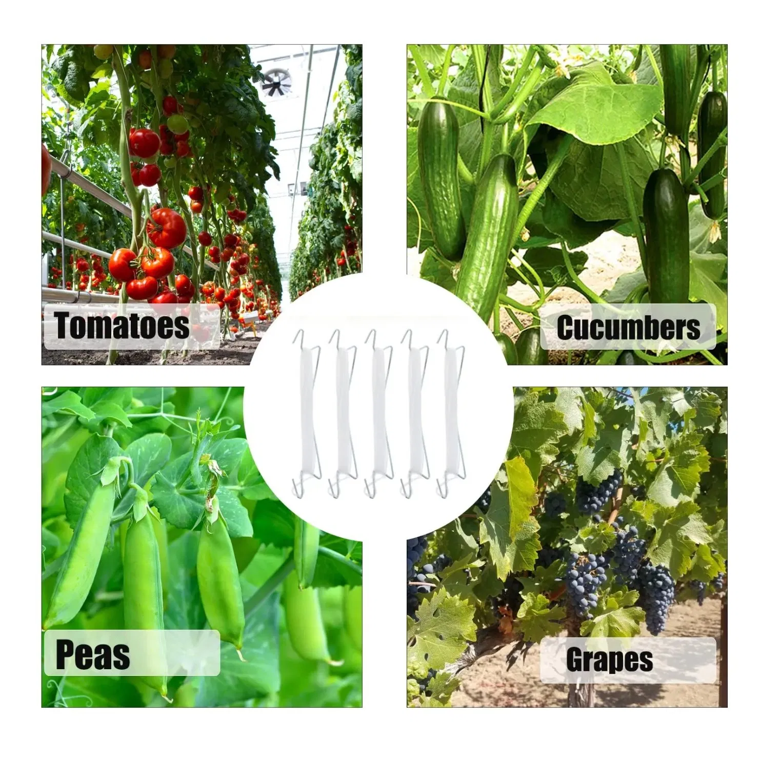 15 PCS Tomato Support Clips Cherry Vegetable Plant Vines Climbing J Hooks Plant Growth Puller Prevent Tomatoe From Pinching