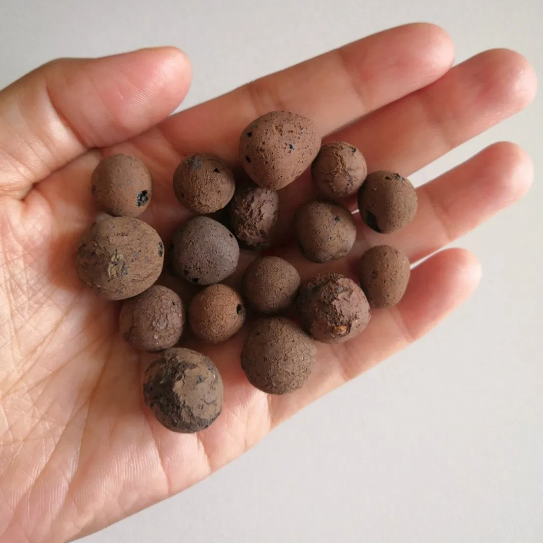 Lightweight Aggregate Growing Medium Expanded Clay for Plant