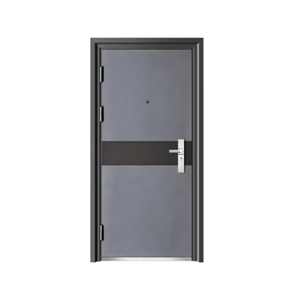 Steel Back Door and Frame Entry Exterior Metal Design Steel Door