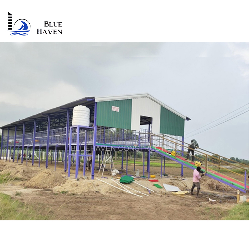 Prefab Chicken Farm Building and Automatic Controlled Poultry Farm Shed