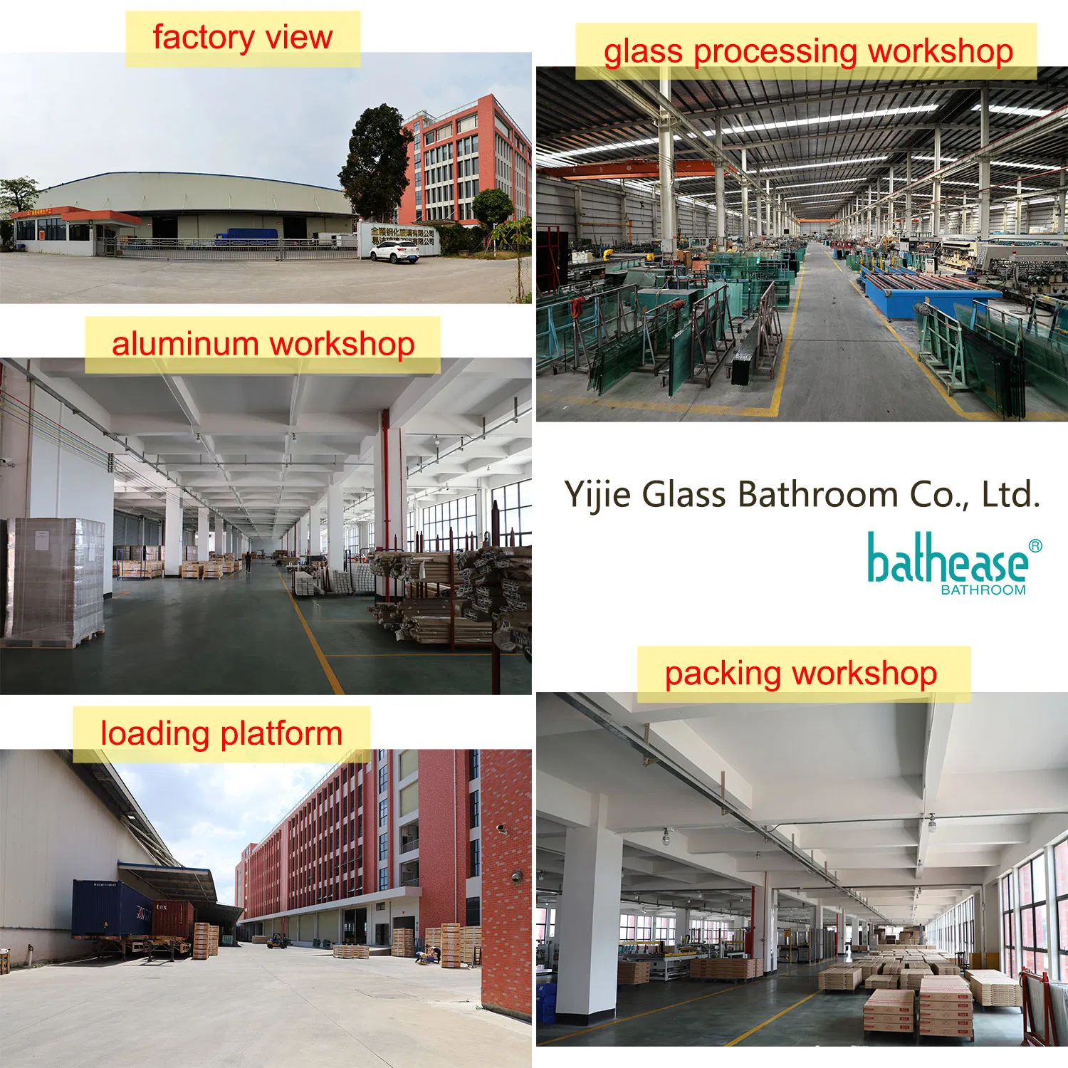 Factory Direct Sale New Design High Quality Handle Pivot Bathroom Tempered Glass Shower Door