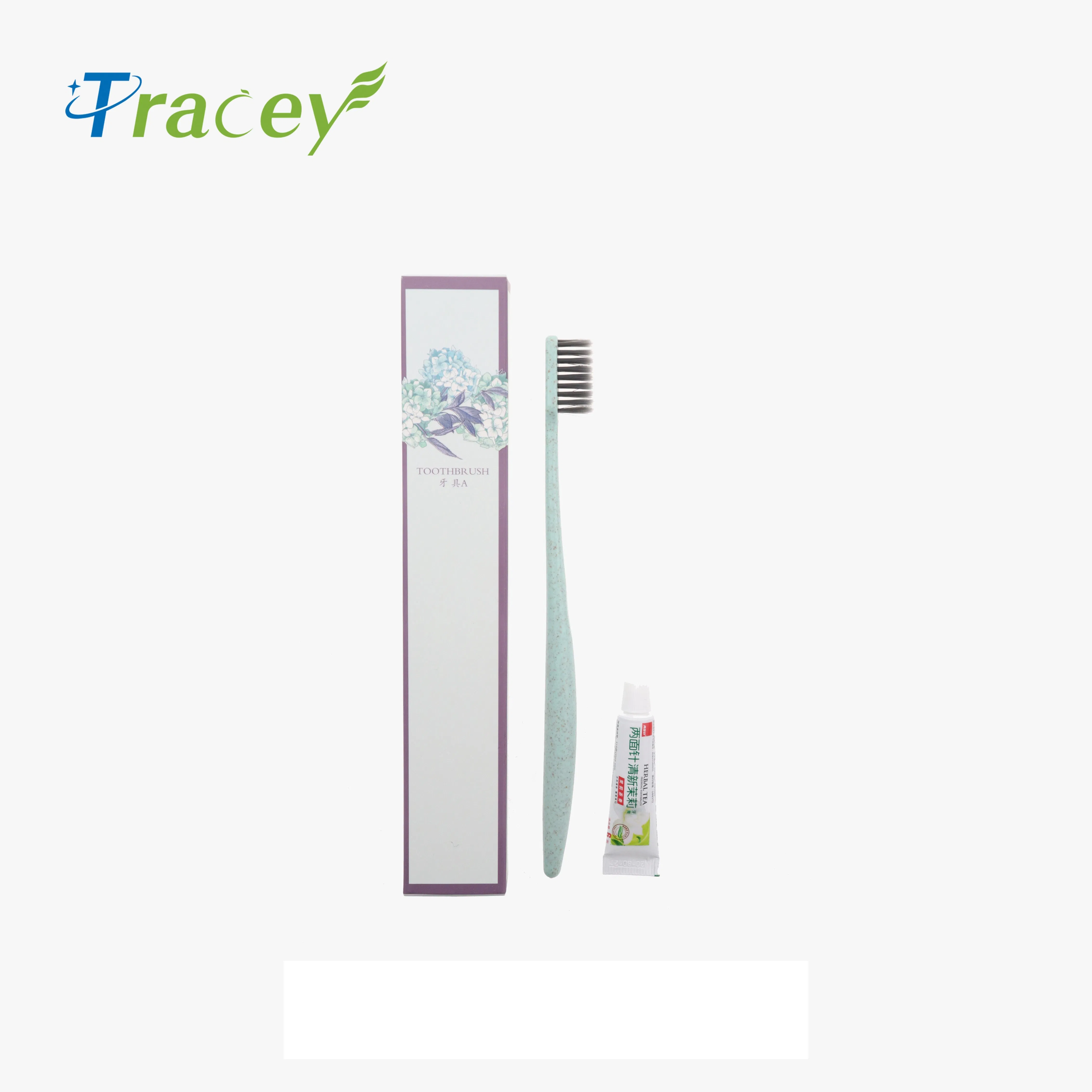 Custom Luxury Hotel Amenities Travel Disposable Toothbrush Toothpaste Set Dental Kit Hotel Supply