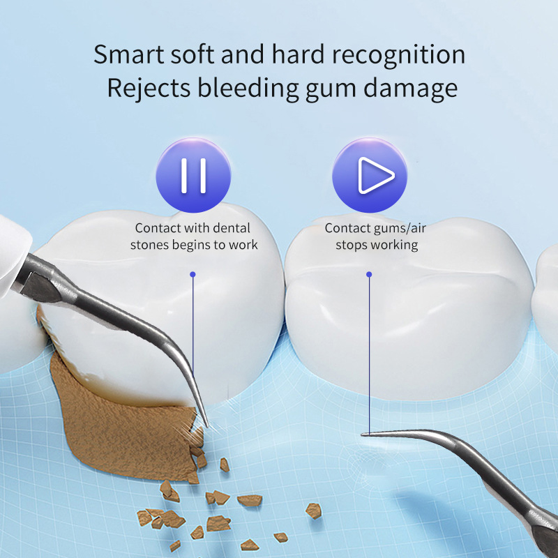 Compact Oral Care Flosser for Travel-Friendly Dental Cleaning