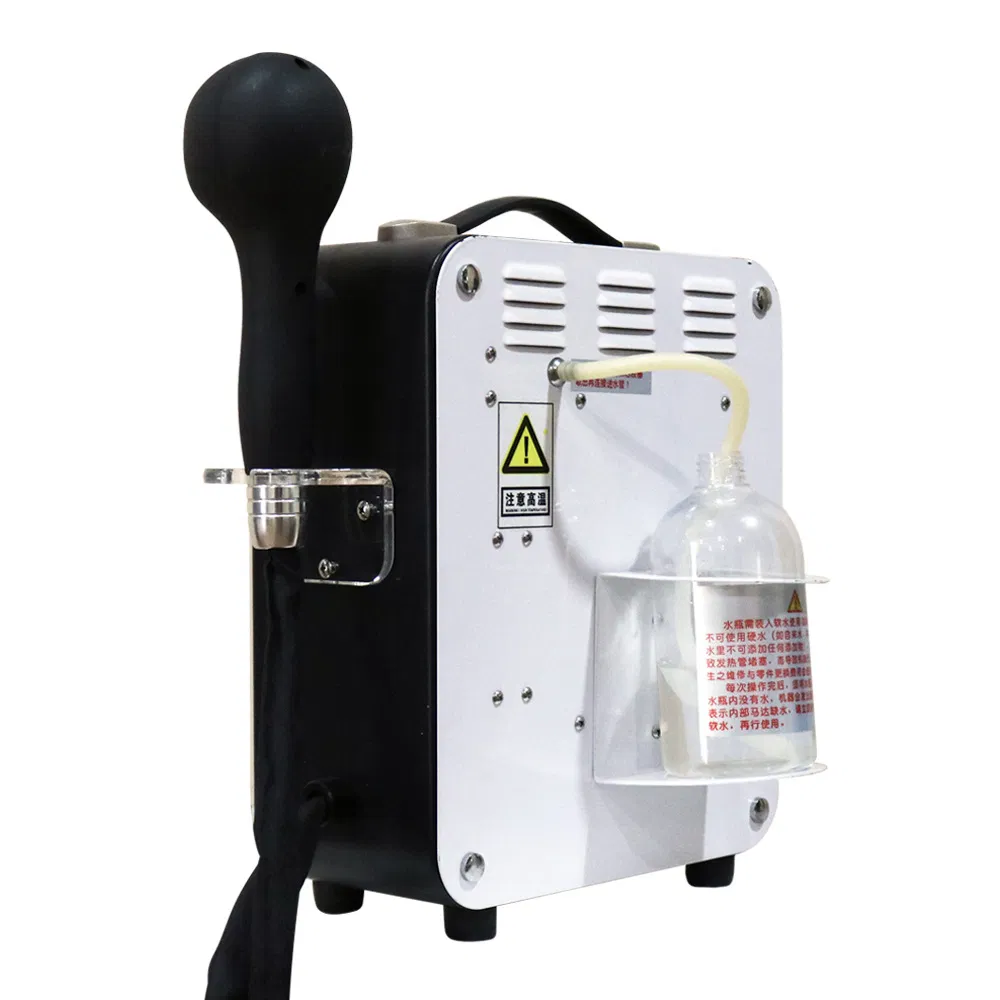 Iron Hair SPA Salon Steamer Desktop Hair Care Sprayer