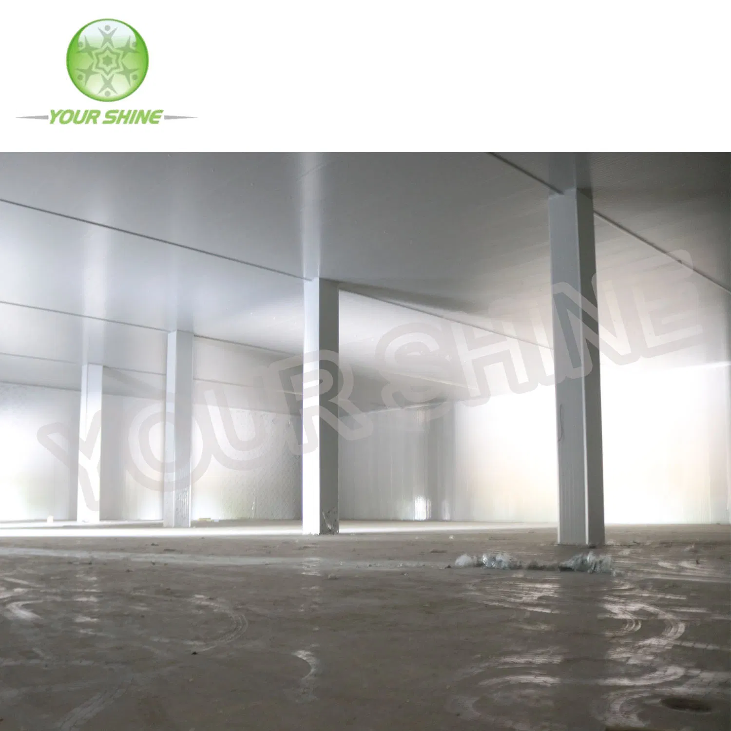 Best Price Cold Storage & Clean Room & Cold Room PU/PUR/PIR Sandwich Panel