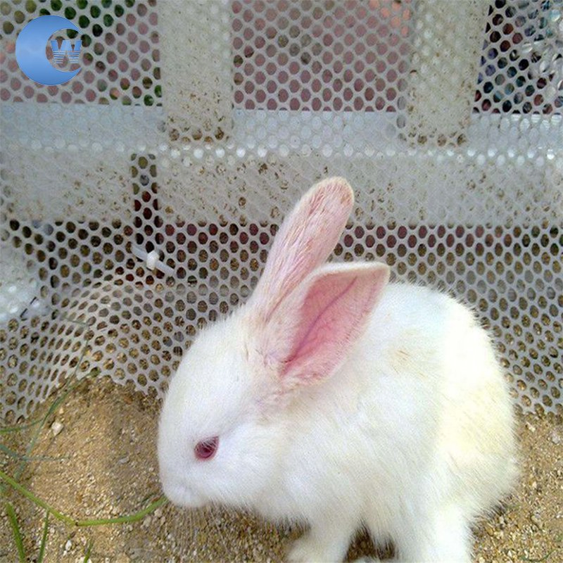 Low Price Chicken Mesh/Plastic Wire Mesh/Farm Breeding Plastic Flat Net