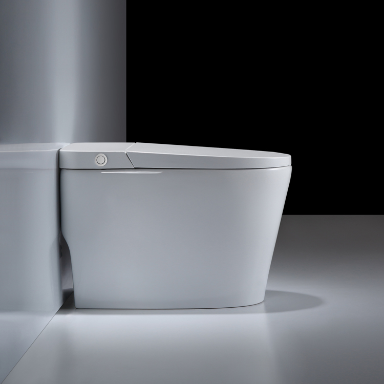 Sanitary Ware One Piece Ceramic Bowl Toilet