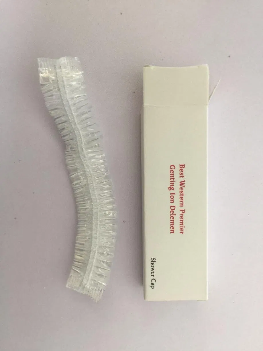 Factory Wholesale 5 Star Luxury Hotel Airline Toiletries Set Hotel Shampoo Gift Box