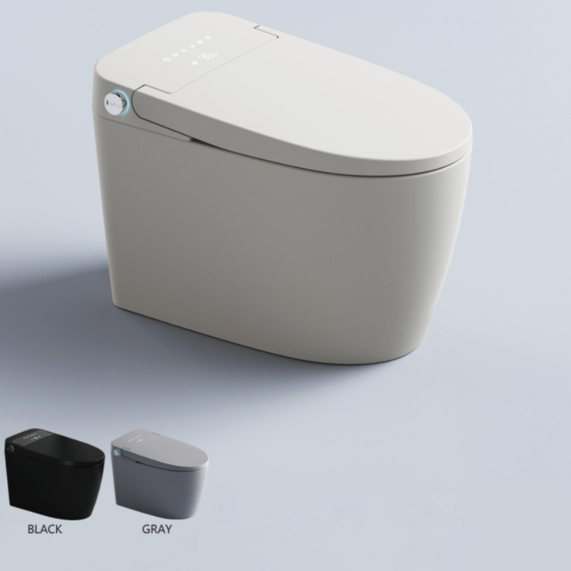 Fashionable and Highly Popular Intelligent Toilet