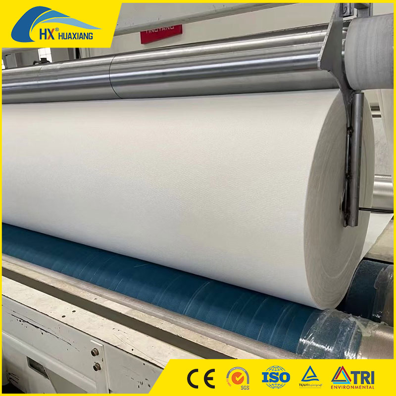 Pet Polyester Filament/Long Fiber Non Woven Geotextile Manufacturer for Filtration