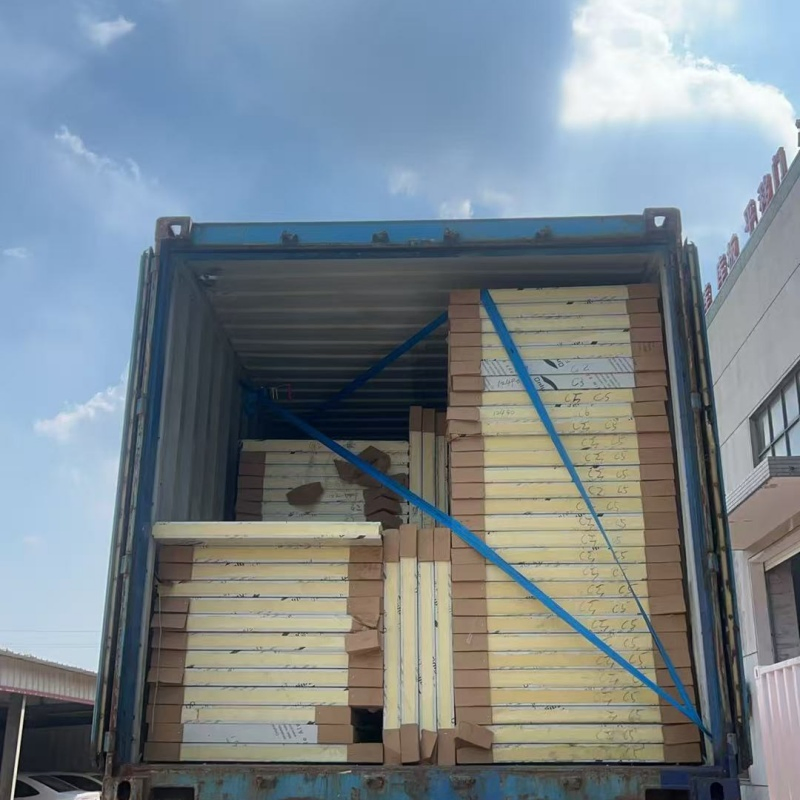 Low Price Wall Roof Sandwich Panel for Cold Room Sorage/Freezer/Chiller