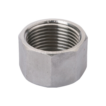 OEM 150lb Bsp / NPT Threaded Hydraulic Stainless Steel Cap