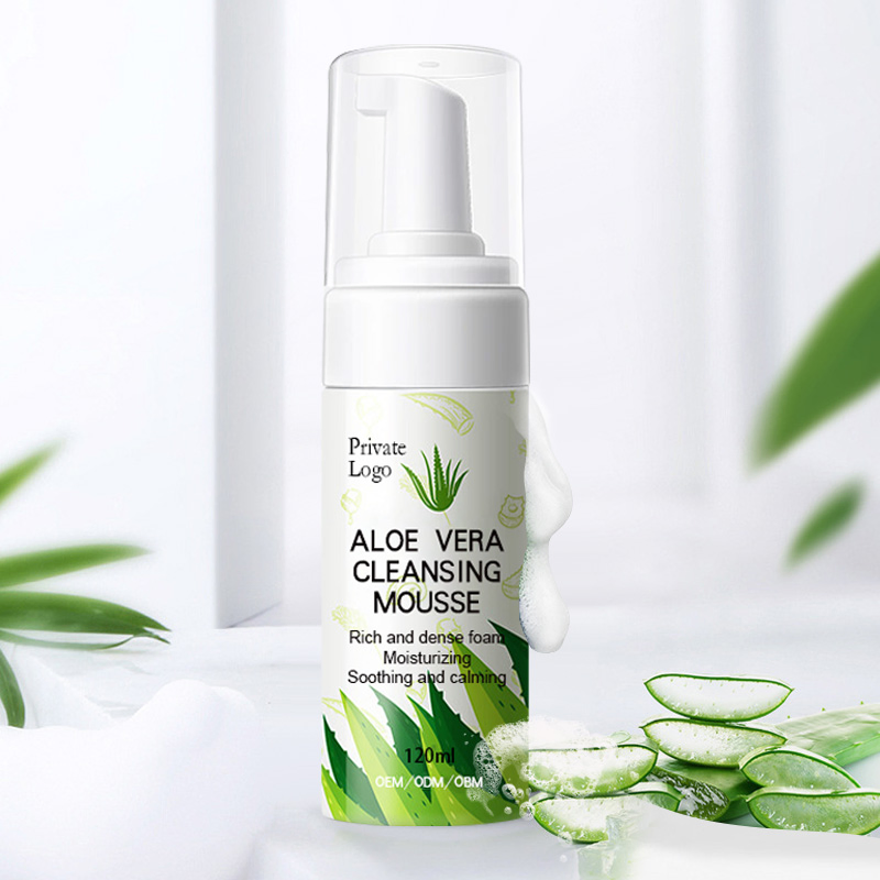 Organic Face Cleanser Oil Control Private Label Aloe Vera Foam Acne Treatment Facial Cleanser Cleansing Mousse