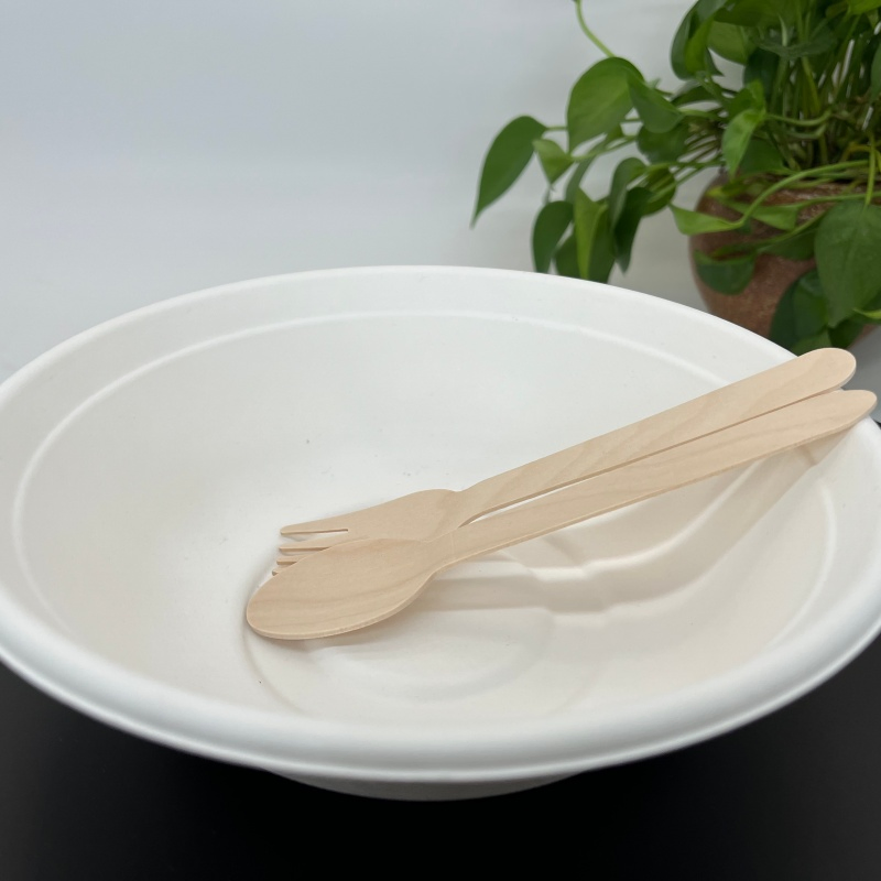 2026 High Quality Round Disposable Paper Salad Plates