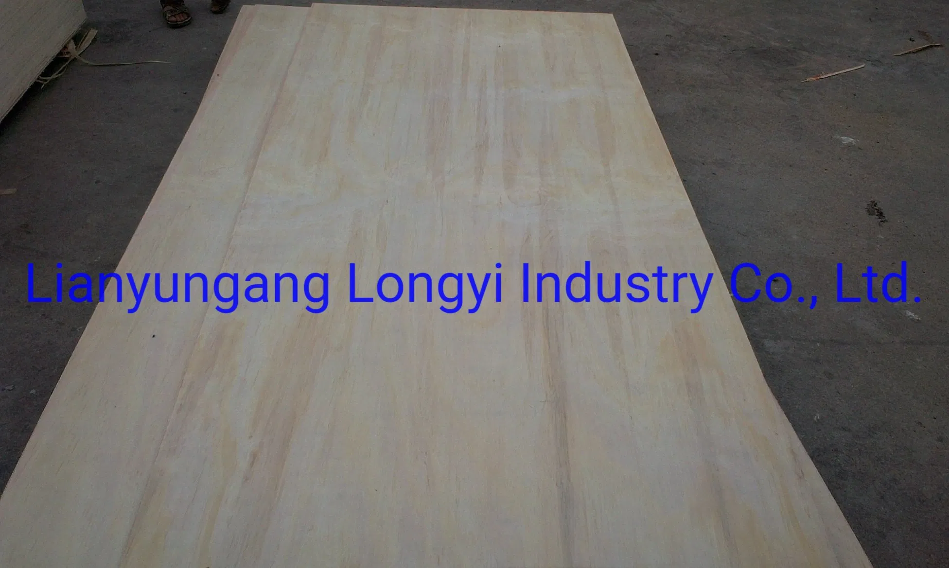 Radiata Pine Plywood Phenolic Glue