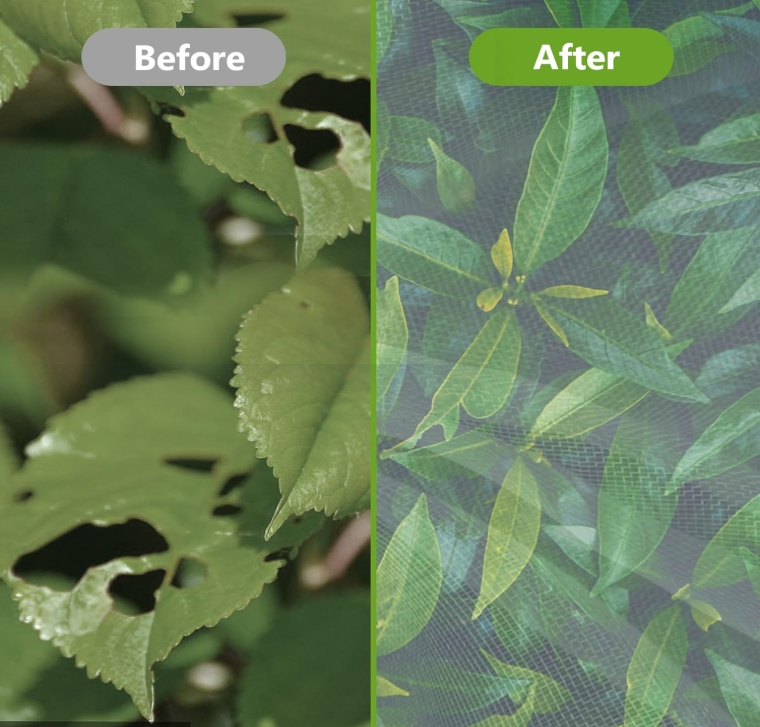 Fruit Tree Netting Garden Plants Protection Cover Bags with Drawstring and Zipper - Bird Barrier Mesh for Blueberry, Vegetables and Fruits